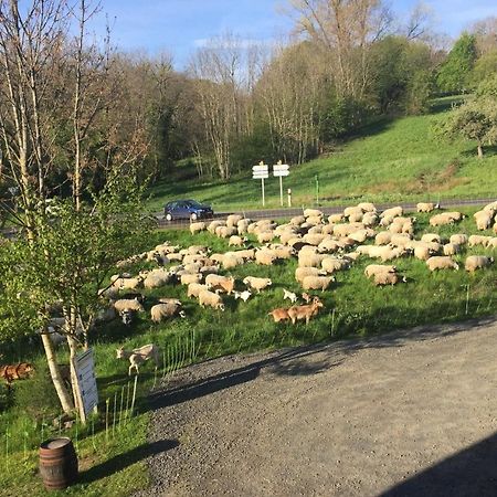 Cote Puy-De Dome Bed & Breakfast Orcines Dış mekan fotoğraf